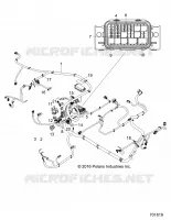 ELETTRICO, HARNESS