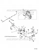 ELETTRICO, HARNESS