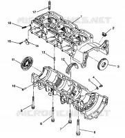 CARTER ASSEMBLY Storm E940782 and Storm SKS E940582 (49274427440031)