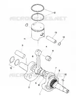 ALBERO MOTORE AND PISTON ASSEMBLY (4913501350032A)
