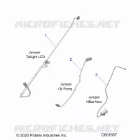 ELETTRICO, JUMPER WIRES