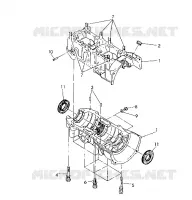 CARTER 440 (4921242124035A)