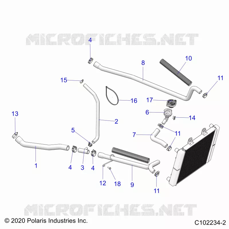ENGINE, SISTEMA DI RAFFREDDAMENTO, HOSES