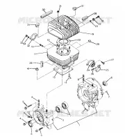 CARTER AND CILINDRO 250 4X4 / W928127 (4922872287C013)