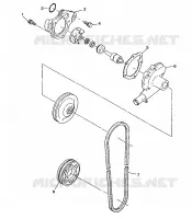 POMPA DELL'ACQUA 500 INDY 0982764(A)(B) and EUROPEAN 500 INDY E982764A (4942104210C010)