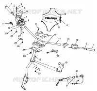 TIMONE