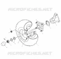 TRAZIONE POSTERIORE