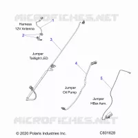ELETTRICO, JUMPER WIRES