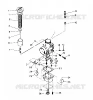 CARBURATORE ASSEMBLY (4914891489034A)