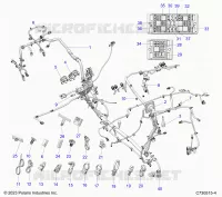 ELETTRICO, HARNESS-CHASSIS