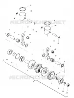 PISTON AND ALBERO MOTORE (TRAIL) (4909500950033A)