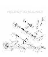 SCATOLA DEGLI INGRANAGGI (Internal Components)