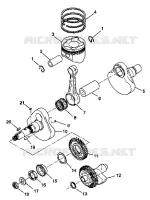 ALBERO MOTORE AND PISTONEE