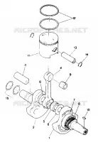ALBERO MOTORE AND PISTON ASSEMBLY (4913521352039A)