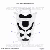 CAPPUCCIO FOAM/SEAL