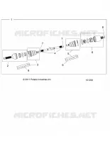 DRIVE TRAIN, ANTERIORE ALBERO