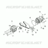 ENGINE, ALTERNATORE AND COMPRESSOR