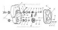 carter della catena ASSEMBLY LITE GT/0933133 and STARLITE GT/0933127 (4923232323014A)