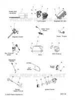 ELETTRICO, SWITCHES, SENSORS AND COMPONENTS