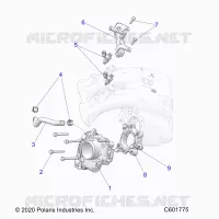 SISTEMA DI ALIMENTAZIONE CARBURANTE, THROTTLE BODY/FUEL RAIL