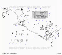 ELETTRICO, WIRE HARNESS