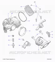 ENGINE, CORPO FARFALLATO AND FUEL RAIL