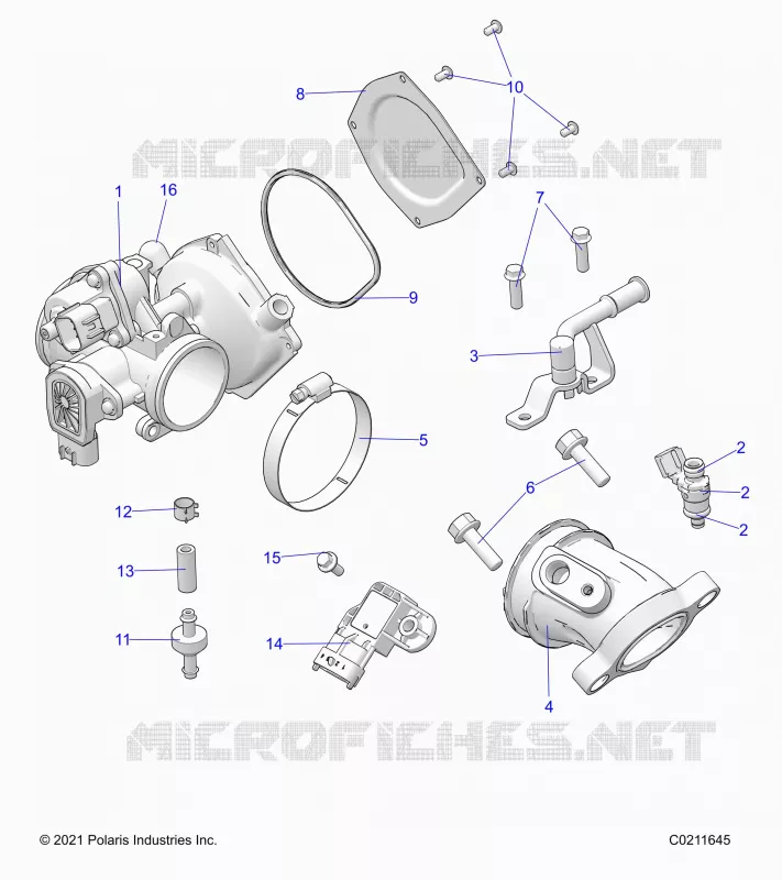 ENGINE, CORPO FARFALLATO AND FUEL RAIL