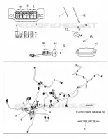 ELETTRICO, HARNESS