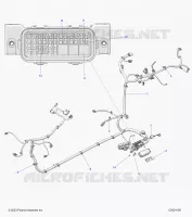 ELETTRICO, WIRE HARNESS