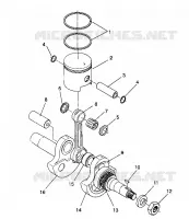 PISTONEEE   ALBERO MOTORE STARLITE GT / 0933127 (4923232323031A)