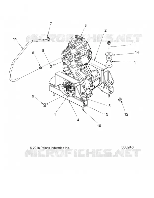 DRIVE LINE, SCATOLA DEGLI INGRANAGGI AND MOUNTING
