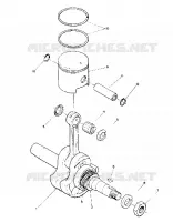 PISTON AND ALBERO MOTORE (STAR) (4910951095022A)