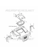 CAPPUCCIO and FRONT BODY WORK