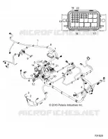 ELETTRICO, HARNESS
