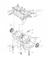 CARTER Trail (4915441544023A)