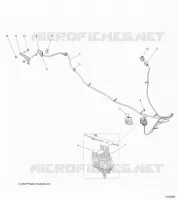 ELETTRICO, ACCESSORY HARNESS
