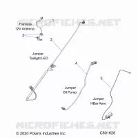 ELETTRICO, JUMPER WIRES