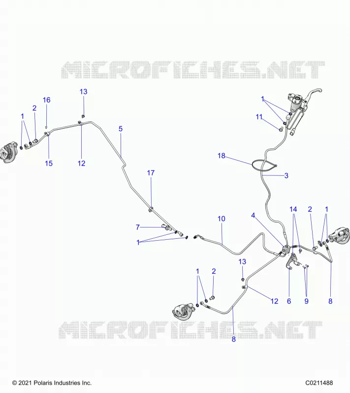LINEE FRENO