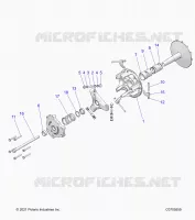 TRASMISSIONE, PRIMARY CLUTCH