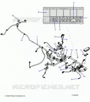 ELETTRICO, HARNESS