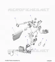 ELETTRICO, WIRE HARNESS, MAIN