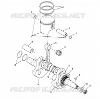 PISTONEEE   ALBERO MOTORE 6X6 300 W948730 (4926792679D005)