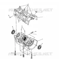 CARTER WideTrak (4921302130035A)