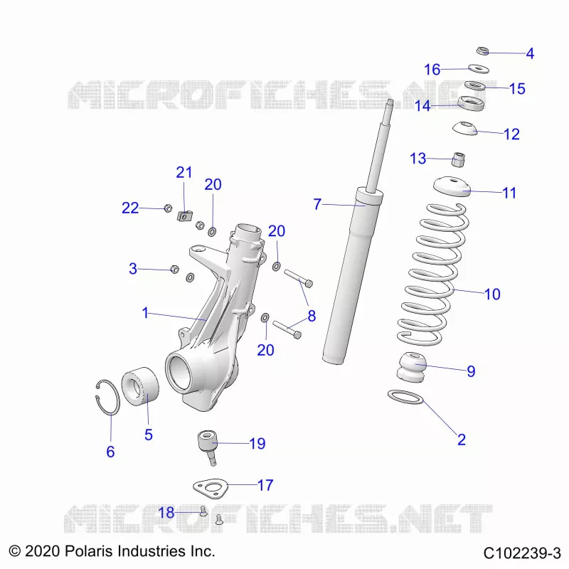 SUSPENSION, ANTERIORE MONTANTE