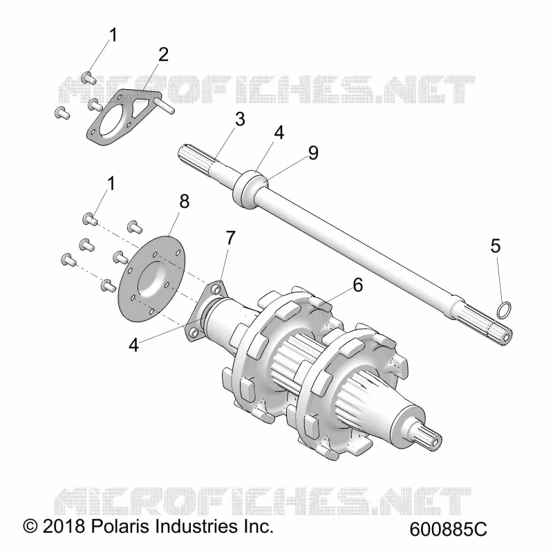 TRASMISSIONE, JACKSHAFT AND DRIVESHAFT
