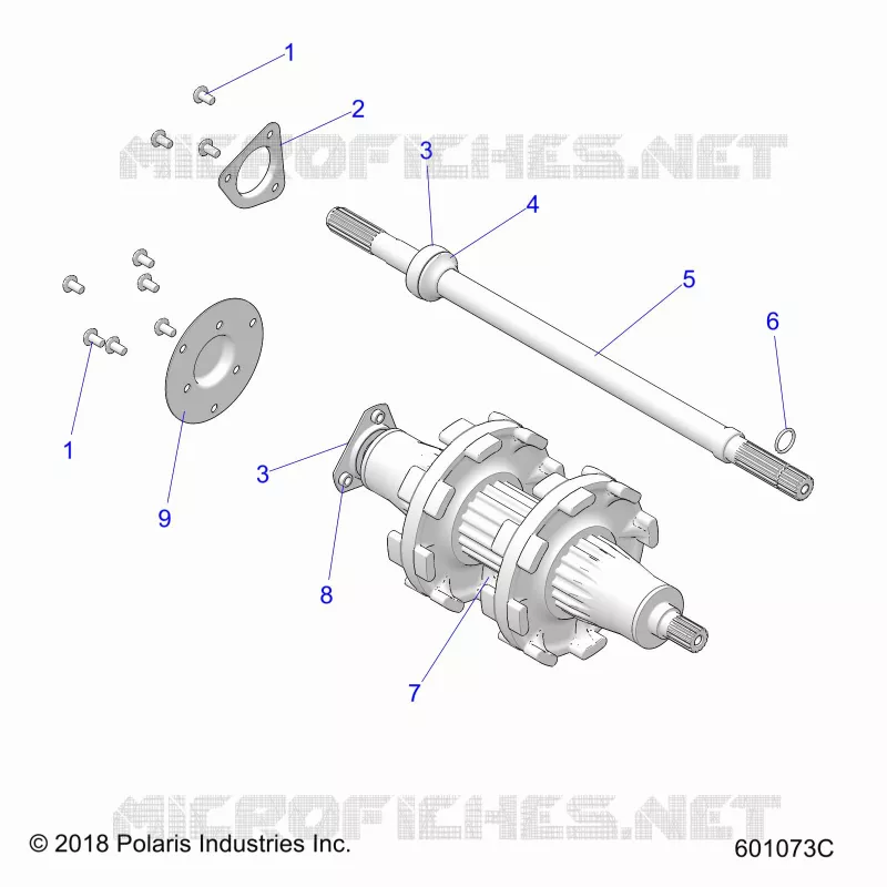 TRASMISSIONE, JACKSHAFT AND DRIVESHAFT