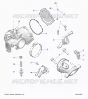 ENGINE, CORPO FARFALLATO AND FUEL RAIL