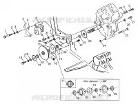 SCATOLA DEGLI INGRANAGGI/FRENO and copertura della catena MOUNTING XPLORER 300 W97CC28C (4939813981C005)