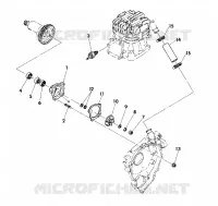 POMPA DELL'ACQUA ASSEMBLY (4918531853038A)
