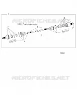 DRIVE TRAIN, POSTERIORE ALBERO